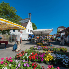 Lehndorf Markt gross v2