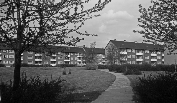 Im Wasserkamp 1963 Geschichte