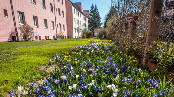 Frohe Ostern!