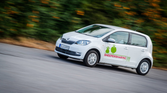 M(e)CS – Mentoren als Erfolgsfaktor im (e)Carsharing